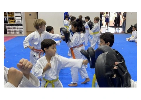 Checkout the Kids Karate Classes of AMAF Australia