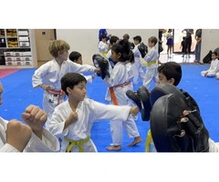 Checkout the Kids Karate Classes of AMAF Australia
