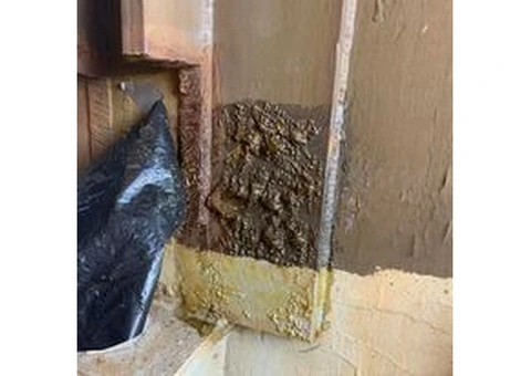 Mould Testing Sydney | Mould Testing | Integrated Environmental