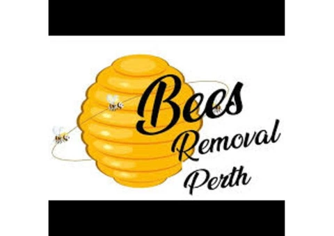 Bees Removal Perth