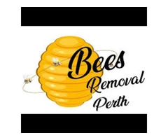Bees Removal Perth