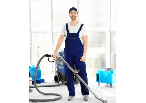 Professional Carpet Cleaners in Melbourne