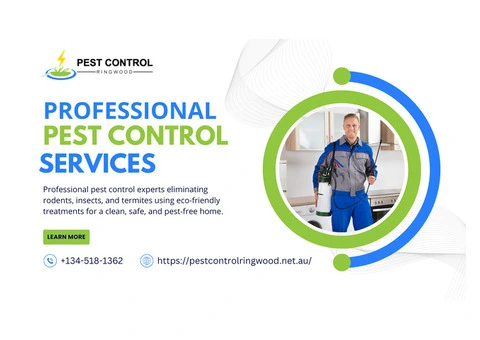 Ringwood’s Trusted Pest Control – Protecting Homes & Businesses