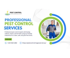 Ringwood’s Trusted Pest Control – Protecting Homes & Businesses