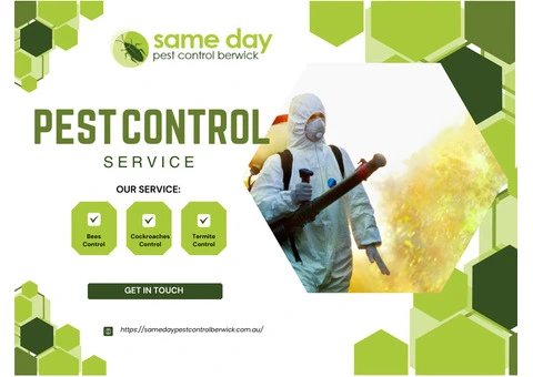 Pest Problems in Berwick? We Have the Solution | Call Now