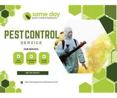 Pest Problems in Berwick? We Have the Solution | Call Now