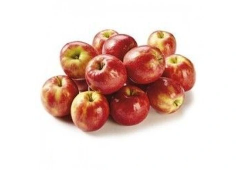 Reliable Fresh Fruits and Vegetables Supplier Around You