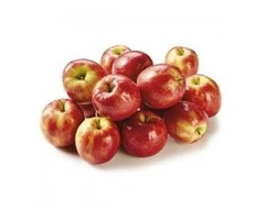 Reliable Fresh Fruits and Vegetables Supplier Around You