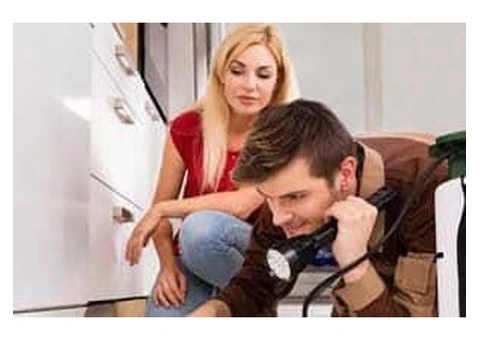 Pest Exterminators Canberra – Professional Pest Control Services