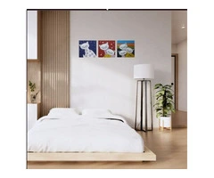 Decorative Cat Wall Art Canvas