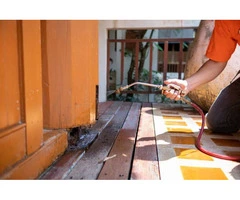 Termite Exterminator Adelaide – Professional Termite Removal Services