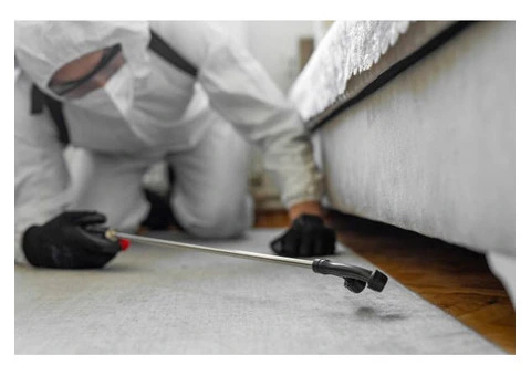 Pest Control Salisbury – Reliable Pest Management Services