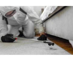 Pest Control Salisbury – Reliable Pest Management Services