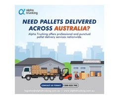 Business-Focused & Cost-Effective Pallet Delivery Service