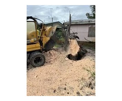 Expert Tree Stump Removal on the Gold Coast