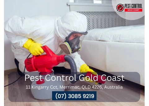 Termite Protection Gold Coast – Safeguard Your Property