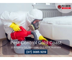 Termite Protection Gold Coast – Safeguard Your Property