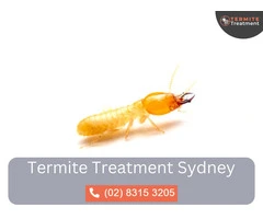 Termite Protection Sydney – Secure Your Home from Termites