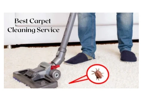 Carpet Cleaning Clayfield – Fresh, Clean & Stain-Free Carpets!