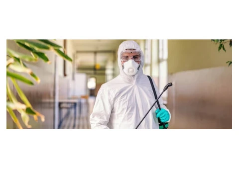 Say Goodbye to Pests with Bayswater’s Best book now