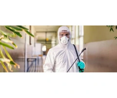 Say Goodbye to Pests with Bayswater’s Best book now