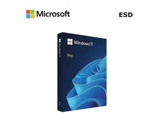 Windows 11 Pro Retail ESD