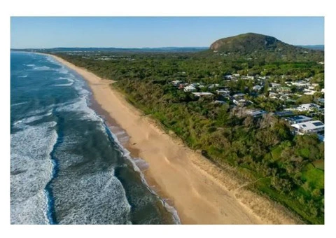 Best business accountant near me