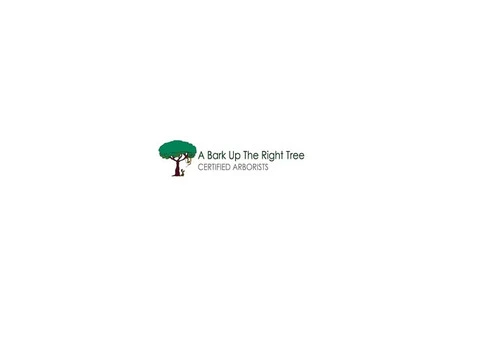 Need to Hire a Professional Arborist? Trust Adelaide Tree Removals!