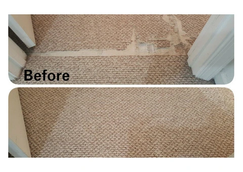 Carpet Cleaning Geelong: Fresh, Clean, and Spotless Carpets