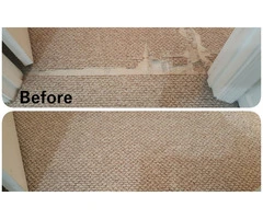 Carpet Cleaning Geelong: Fresh, Clean, and Spotless Carpets