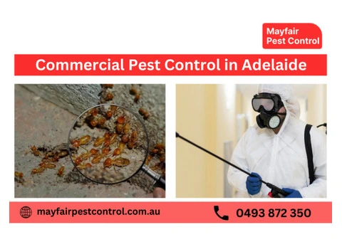 Reliable Commercial Pest Control Adelaide | Business Protection Experts