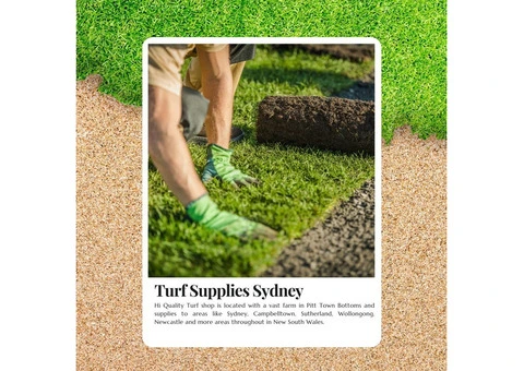 Beautiful Lawns Made Easy with Turf Supplies Sydney