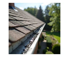 Gutter Cleaning in Illawong – Keep Your Home Safe!