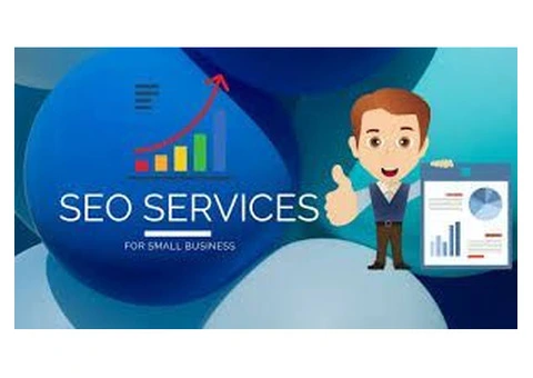 Professional SEO consultant