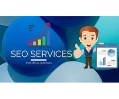 Professional SEO consultant