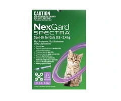 Flea Tick Treatment for Cats