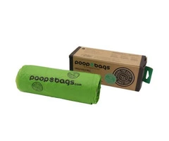 Best Cat Accessories in Australia