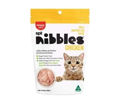 Cat Dental Care Essentials