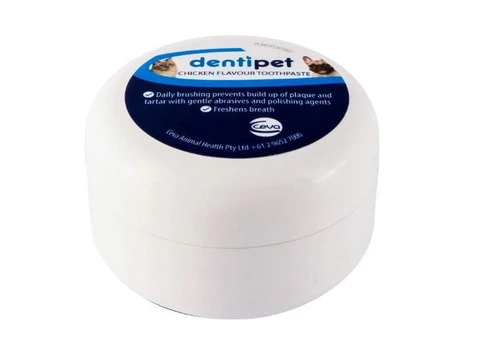 Cat Dental Care Essentials - 3/4