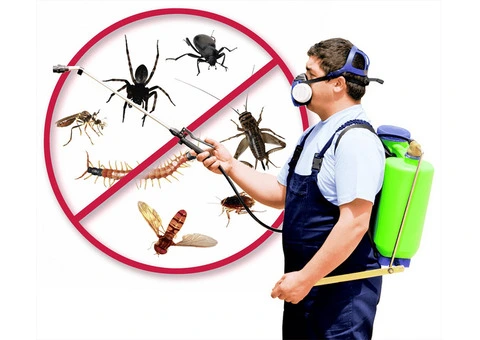 Looking for Pest Removal in Melbourne?