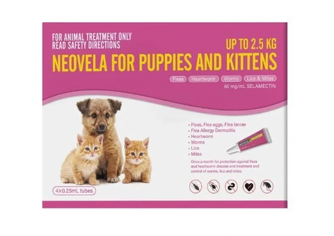 Cat Heartworm Treatment - 2/3