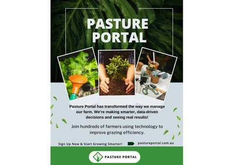 Why Rotational Grazing Systems Are Essential for Pasture Health