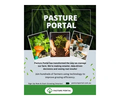 Why Rotational Grazing Systems Are Essential for Pasture Health