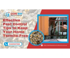 Effective Pest Control Boronia Tips to Keep Your Home Termite-Free