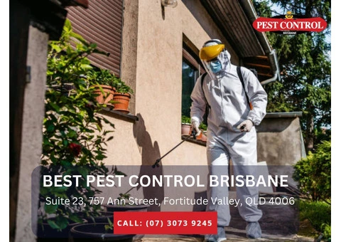 Termite Inspection Brisbane – Comprehensive Pest Control
