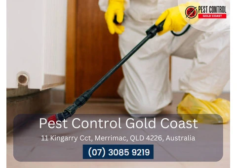 Rodent Control Gold Coast – Comprehensive Solutions