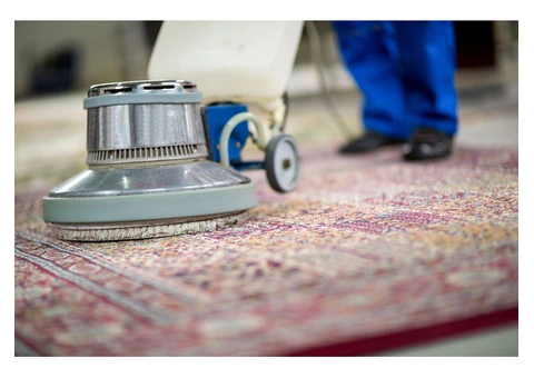Lotus Carpet Cleaning Sydney - 1/4