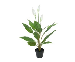 Hire Elegant Flower Walls in Melbourne for Special Occasions