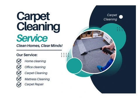 Stains, Dirt, and Odors? Trust Carpet Cleaning Coorparoo for a Fresh Start