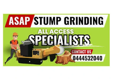 Affordable Stump Grinder Hire on the Gold Coast